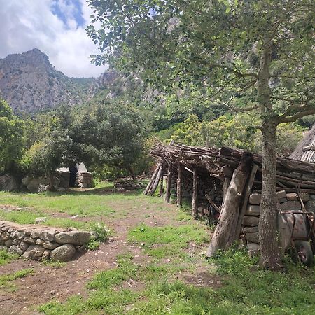 Appartamento Meduse Cala Gonone Dış mekan fotoğraf