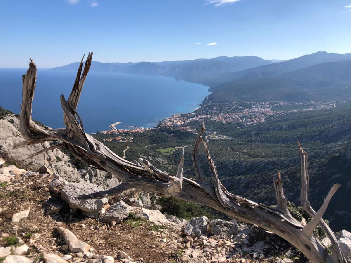 Appartamento Meduse Cala Gonone Dış mekan fotoğraf
