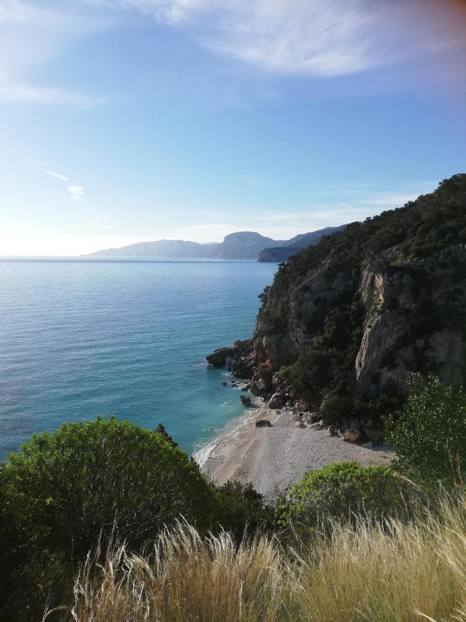 Appartamento Meduse Cala Gonone Oda fotoğraf