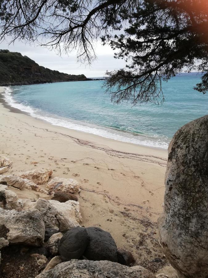 Appartamento Meduse Cala Gonone Oda fotoğraf