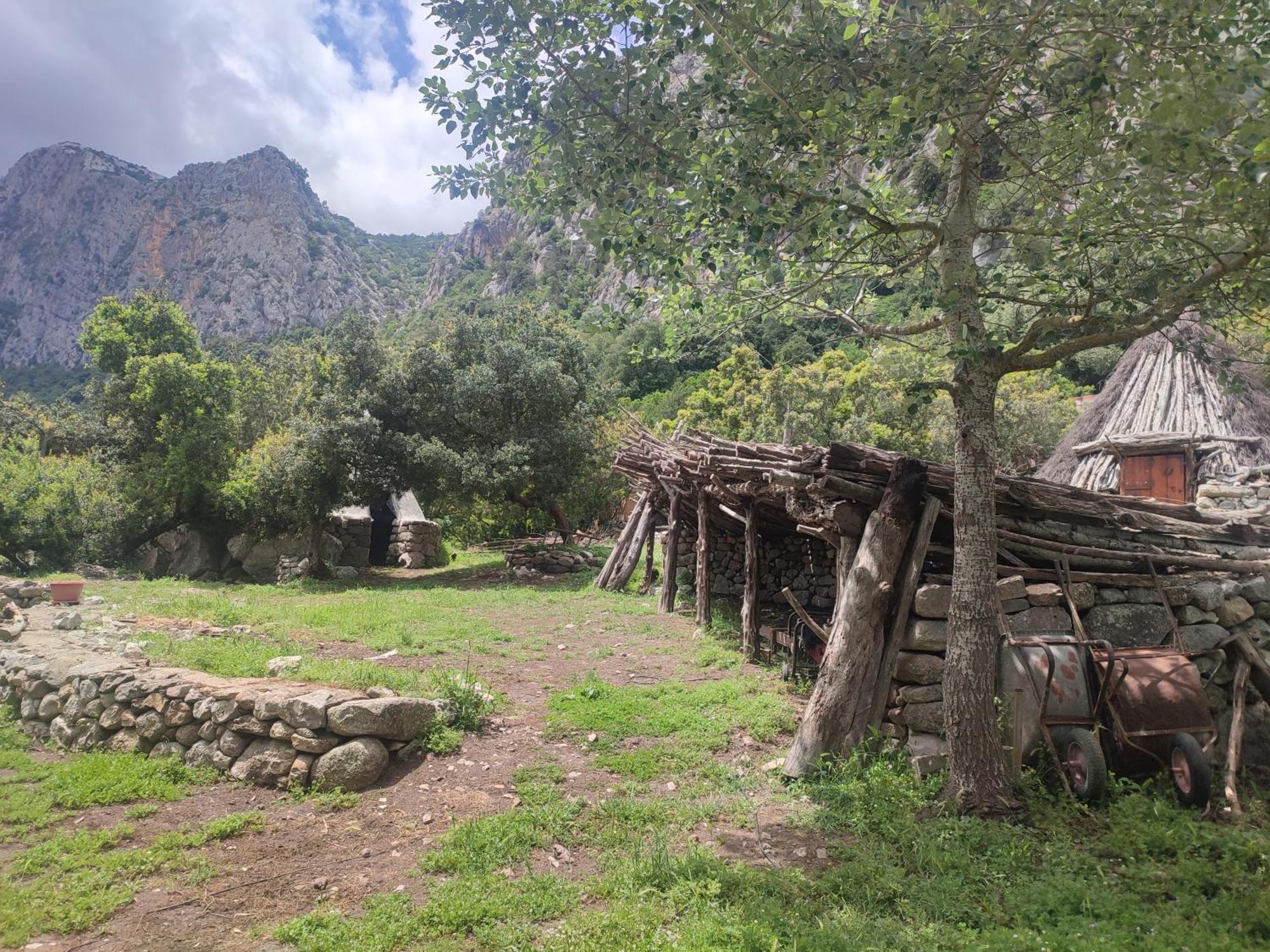 Appartamento Meduse Cala Gonone Dış mekan fotoğraf